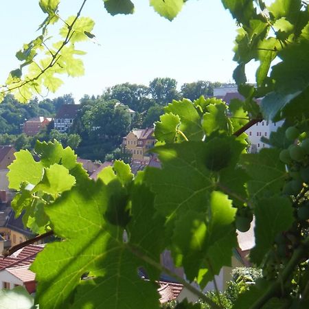 Hotel Schlossberg マイセン エクステリア 写真