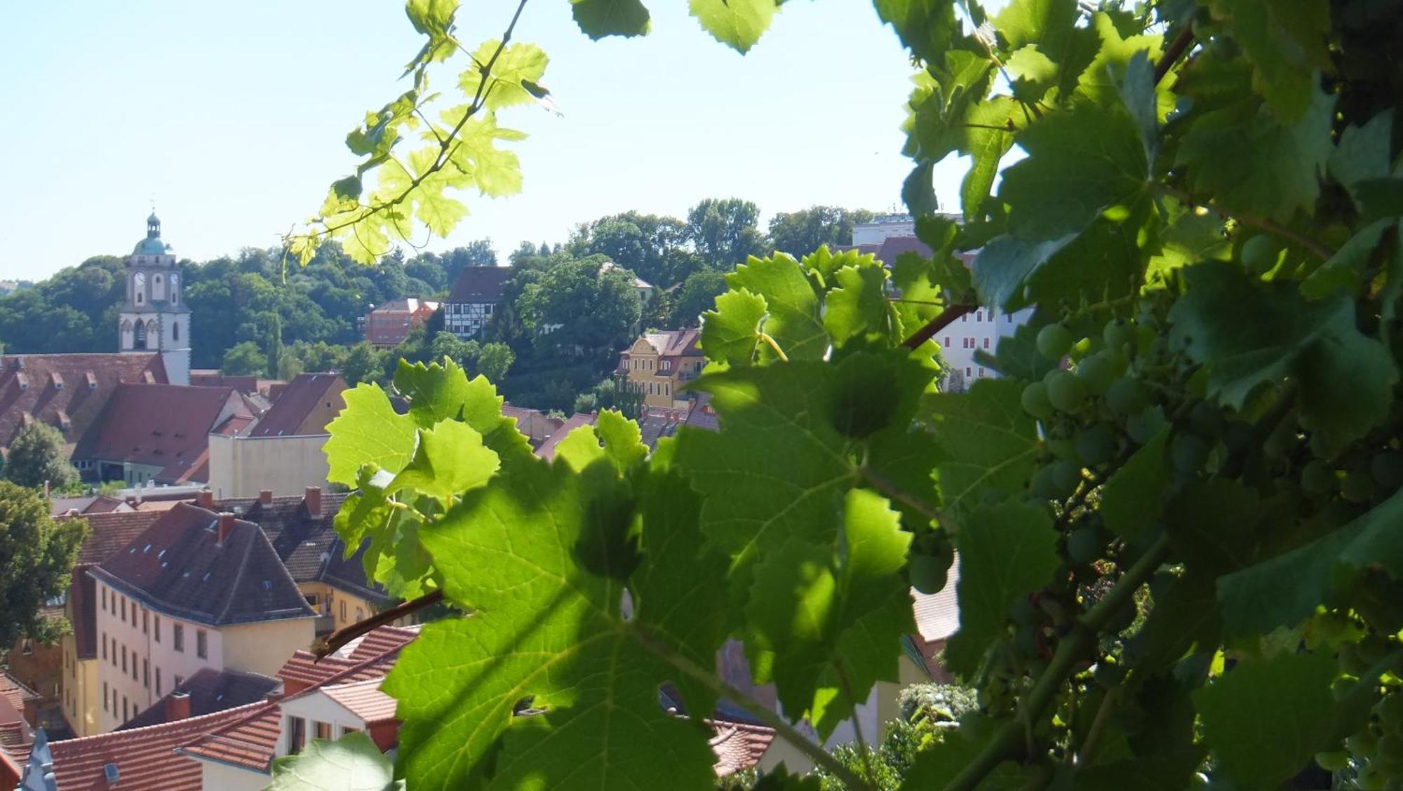 Hotel Schlossberg マイセン エクステリア 写真